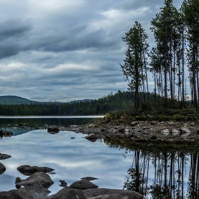 Profile Picture of MichaelKudla (@KudlaMichael) on Twitter