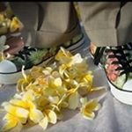 Profile Picture of Jim Finnegan (@jimmyfinns) on Instagram