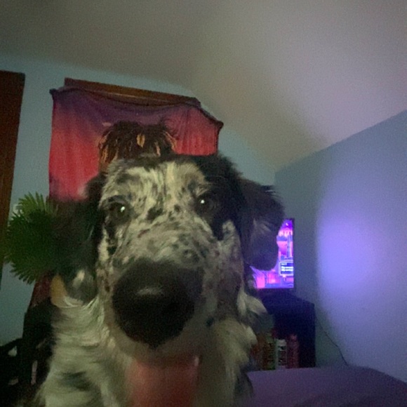 Profile Picture of Keegan Pullano (@k_pullano) on Poshmark