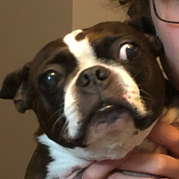 Profile Picture of Isaac Van wie (@dreadplor) on Poshmark