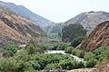 Profile Picture of Jordan Rift Valley - Wikipediaon Wikipedia