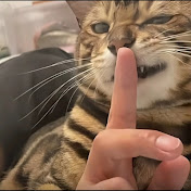 Profile Picture of Peng飞 Liu (@peng飞liu) on Youtube