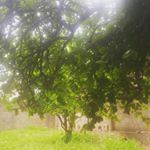 Profile Picture of michaelleplacidosantos (@michaelleplacido) on Instagram