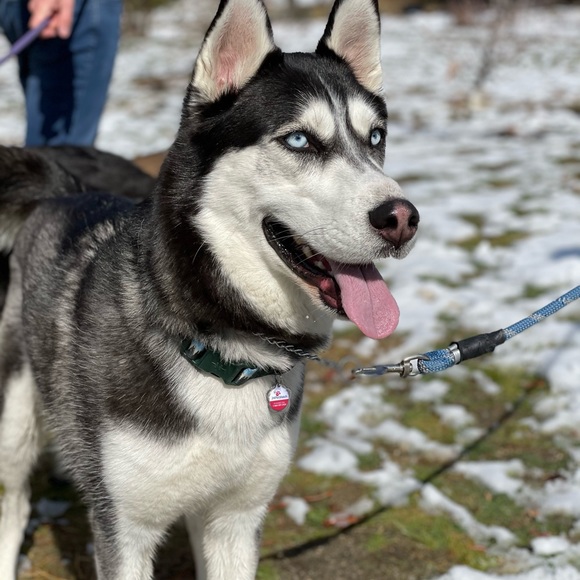 Profile Picture of Gary Cox (@resourcemed) on Poshmark