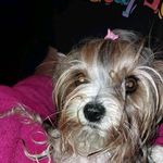 Profile Picture of Eric Heinrich (@sergeseverin) on Instagram