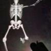 Profile Picture of joel (@joelscheffler23) on Tiktok