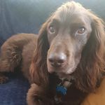 Profile Picture of Tess Fowler (@betsy.fowler) on Instagram
