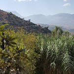 Profile Picture of Jamal Kaïd (@jamal.kaid.54) on Instagram