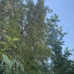 Profile Picture of Jeremy Wells (@Jeremy-Wells) on Facebook