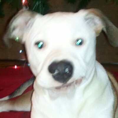 Profile Picture of John Ratulowski (@DUNIORMAN) on Twitter