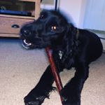 Profile Picture of Allen Whitby (@wh1tters) on Instagram