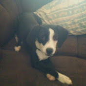 Profile Picture of Jeremy Dickman (@jeremydickman7514) on Youtube