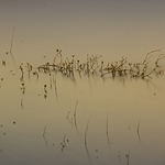 Profile Picture of Bach Nguyen (@bnw.bach) on Flickr