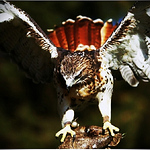 Jeremy Perlinski - Flickr Profile Picture of Jeremy Perlinski (@jeremyperlinski) on Flickr