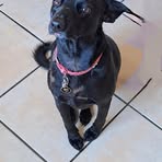 Profile Picture of Marilyn Pafford (@marilyn.pafford.5) on Facebook