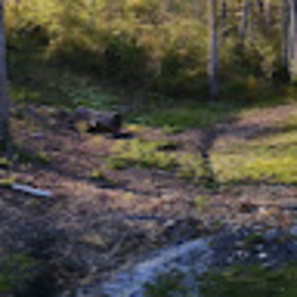 Profile Picture of Denisela James (@deniselajames) on Poshmark