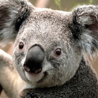 Profile Picture of Jason Jala (@jason-jala) on Quora