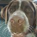 Profile Picture of Isabelle Reed (@Isabelle-Reed) on Facebook