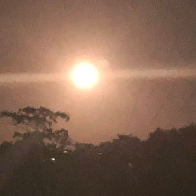 Profile Picture of Jonyjames (@jonathanjaimes) on Twitter