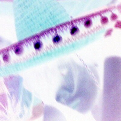 Profile Picture of Jessica Keller (@Jessie_Jessx) on Twitter