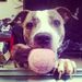 Profile Picture of Brian Chaffee (@brianchaffee) on Pinterest