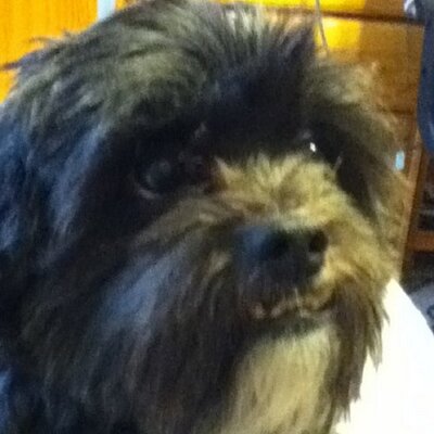 Brad Brannon - Twitter Profile Picture of Brad Brannon (@Bradley_SB) on Twitter