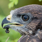 Profile Picture of Fra298 (@fra298) on Flickr