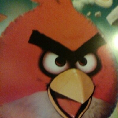 Profile Picture of Chance Bradlau (@chancebradlau) on Twitter