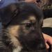 Profile Picture of Jesse Gonsalves (@gons9563) on Pinterest