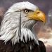Profile Picture of Dan Gulak (@dan.gulak.5) on Facebook
