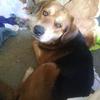 Profile Picture of Steve Yarbrough (@@user320053462) on Tiktok