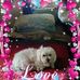 Profile Picture of Jean Grubbs (@jean.grubbs.31) on Facebook