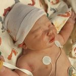 Profile Picture of Evelyn Joy Conley Weidig (@ejweidig) on Instagram