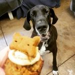 Profile Picture of Jasmine Schultz (@dog_lover.and.advocate) on Instagram