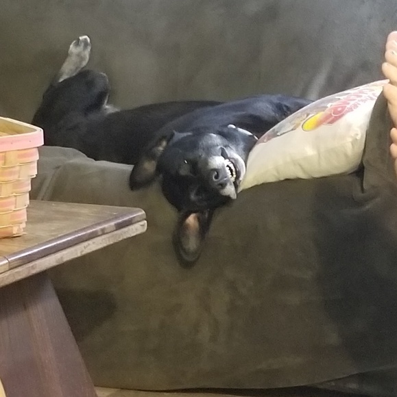 Tami Boal - Poshmark Profile Picture of Tami Boal (@tami_boal) on Poshmark