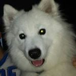 Profile Picture of Nick Olmstead (@nickolmstead) on Instagram