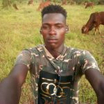 Profile Picture of Chris Saitoti (@saitotichris) on Instagram