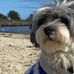 Profile Picture of Daniel Bergin (@daniel.bergin.315) on Facebook