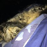 Profile Picture of Eric Biddle (@eric_biddle_) on Instagram