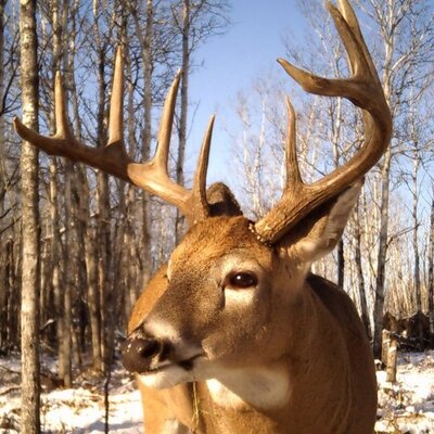 Profile Picture of Kevin Sapp (@Saskshedhunter) on Twitter