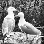 Profile Picture of Pete Cucinotta (@pete.cucinotta) on Facebook