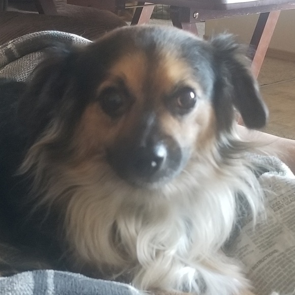 Profile Picture of Crystal Vires (@cvires79) on Poshmark