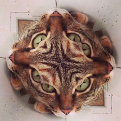 Profile Picture of Josh Pan (@joshpan) on Twitter