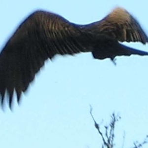 Profile Picture of Alex Derr (@190156932) on Myspace