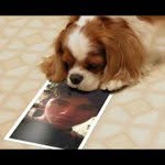 Profile Picture of valderr (@valderr) on Instagram