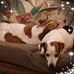 Profile Picture of Robin Joubert (@robin.joubert.161) on Facebook