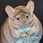 Profile Picture of Broileri (@broileri) on Flickr