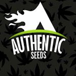 Profile Picture of AUTHENTIC SEEDS BR (@paulohenrriquemachado) on Instagram