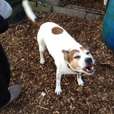 Profile Picture of Mark Mckillop (@mckillop_mark) on Twitter