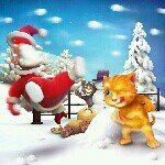 Corrie Mallaby - Instagram Profile Picture of Corrie Mallaby (@corriemallaby) on Instagram